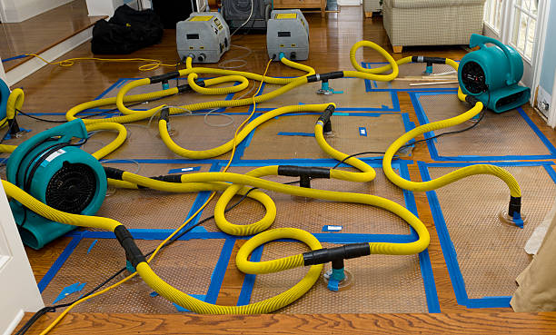 Professional Burst Pipe Water Damage technician working in Eldorado, WI